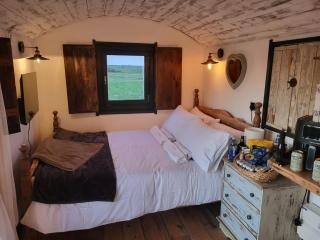 Hazy Fields Shepherds Hut - Worth - 4