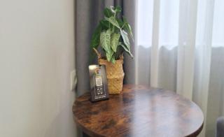 THOMAS LUXURY APARTMENT in the historical center of Ioannina - Ioannina - 4
