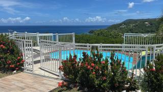 ALLAMANDA DES BOIS - 6