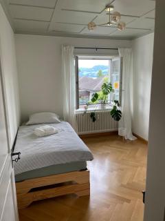 Fantastically beautiful old building apartment with lake view - Männedorf - 2