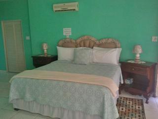 Pinnacle View Estate Tiana Villa - Montego Bay - 0