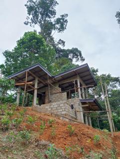 Rainforest cabin - Deniyaya - 6