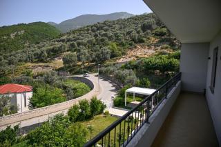 Olive Tree - 8