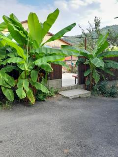 Emilia - Sighnaghi - 8