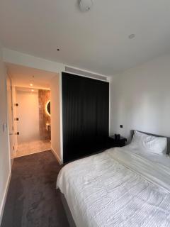 Embassy Gardens 2 Bed Apartment - London SkyPool - 9