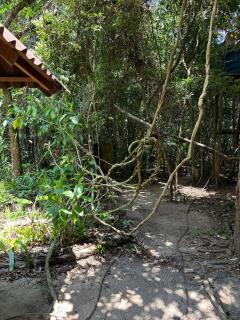 Beautiful open house in the forest - 8