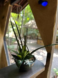 Beautiful open house in the forest - 3