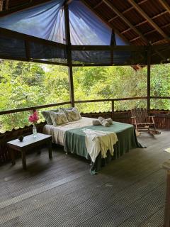 Beautiful open house in the forest - 0