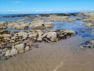Coastal Adventures, Lake, Ocean, Casinos, Hiking - 3