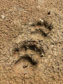 Shintuyahotsprings - 1