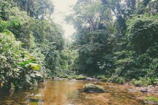 Shintuyahotsprings - Santa Rosa - 7