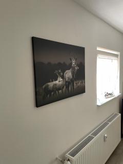Black Forest apartment in Rottweil - 9