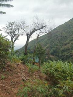 The Mountain Goat - Morogoro - 4