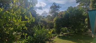 Casa Perezosa - Parrita - 3