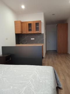 Apartmany BlueWave Riverside Piešťany - 1