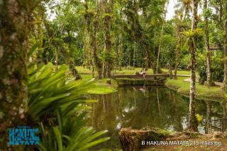 Pousada Hakuna Matata - 7