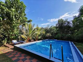 Verdant Hill Villa - 3