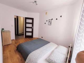 SDH 3 Wolomin comfortable apartment near Warsaw - Wołomin - 4