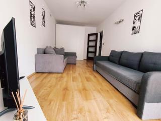 SDH 3 Wolomin comfortable apartment near Warsaw - Wołomin - 8
