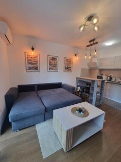A&M apartment - free parking - 7