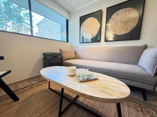 HOM I A 3 minutos MetroParqueAlmagro Depto1D1B - 8