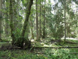 4 star holiday home in VÄRMDÖ - 1