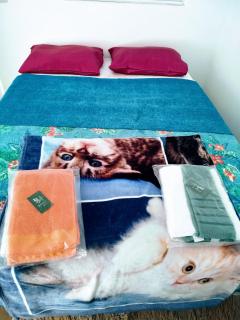 Pousada minha casa ouro verde - 4