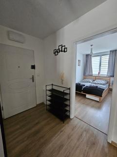 Grey Apartment - Krakow - 7