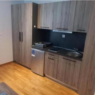 Apartment Aleksandar AS - 1