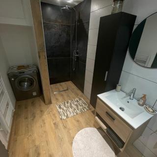 Duplex cosy en face de la moselle - 6