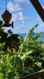 Les chalets Colibris - Anse Figuier - 6