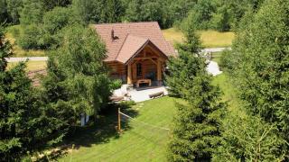 KRALJICA ŠUME - Divjake Log Home - Hlevci - 0