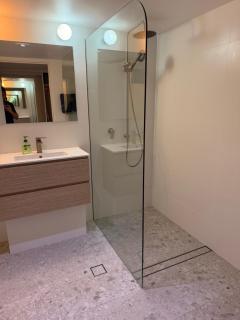 Grande Esplanade Studio - New bathroom - Sydney - 8