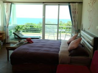 海洋玫瑰海景民宿 - 3