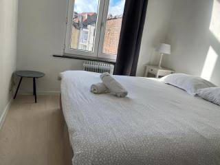 Flat brussels center - Brüssel - 9