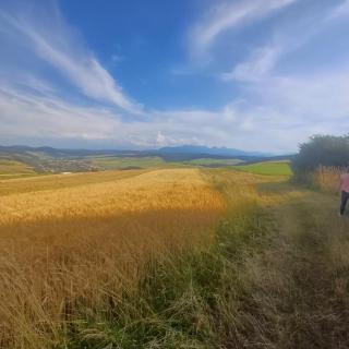 Miedzy Owcami B&B - 1