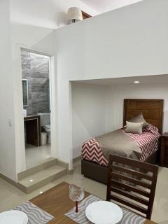 La casa de las palmeras - 8