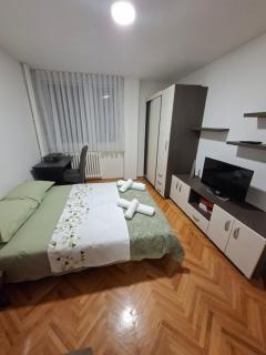 Apartman Pesic Niš - 2