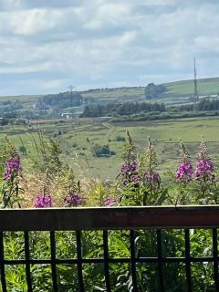 The View - 7