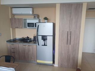 Apart , Departamento , Condo , Estudio BAHIA grande Nordelta , Tigre - 1