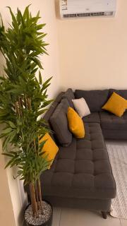 غرفتين وصالة - 2