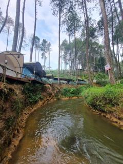 Tepian Pinus Glamping - 2