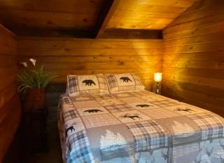 Private Cozy 3 BR Cabin near Mt Rainier, Sunrise & Crystal Mt Hiking - 1