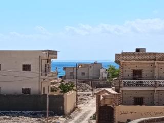 القصر الأزرق - 0