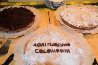 Agriturismo Colomboni - San Costanzo - 2
