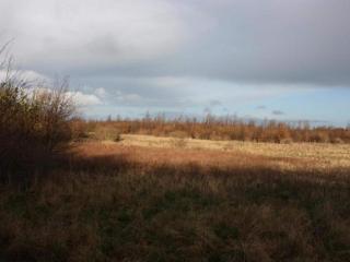 Tranquil Seaside Haven-By Traum - 2