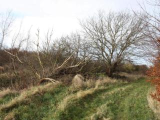 Tranquil Seaside Haven-By Traum - 3