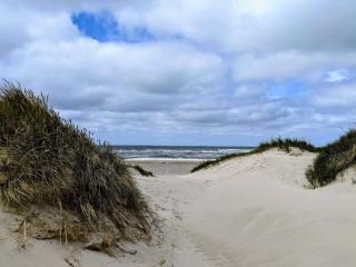 8 person holiday home in Nørre Nebel - 6