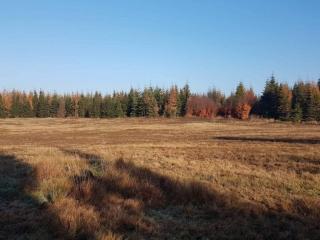 4 person holiday home in Skærbæk-By Traum - 5