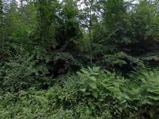 4 person holiday home in Skærbæk-By Traum - 4